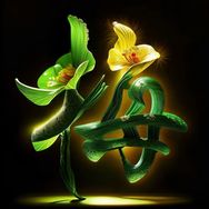 @梅姐姐🌸抖音达人头像
