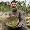 大盛讲本草抖音达人头像