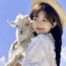 安怡好物抖音达人头像
