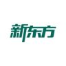 新东方云书官方旗舰店抖音达人头像