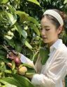 天子集官方旗舰店-自采山竹抖音达人头像