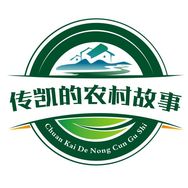 传凯的农村故事抖音达人头像