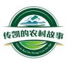 传凯的农村故事抖音达人头像