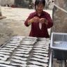 鲁婆婆自晒鱼胶抖音达人头像