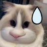 猪猪小野抖音达人头像