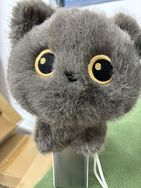 BB数码产品抖音达人头像