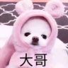 圈内小弟抖音达人头像