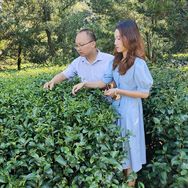 小邓哥茶园抖音达人头像