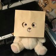 有限进步抖音达人头像