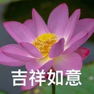 沐沐沐沐沐⁰⁸²⁵抖音达人头像