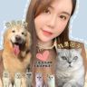 团子妈妈爱养猫🐱🐶抖音达人头像