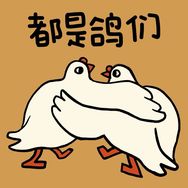 鸽子拆卡·酷趣抖音达人头像