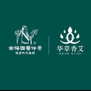 国医仲景艾熏馆抖音达人头像