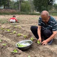 豆腐老胡抖音达人头像