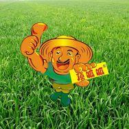 响当当农资抖音号头像