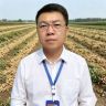 红薯种植技术小孟抖音达人头像