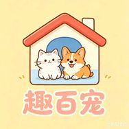 修猫管狗的大杨抖音达人头像