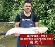 官垌鱼王抖音达人头像
