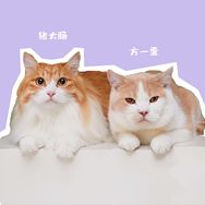 猪大肠&方一蛋抖音达人头像