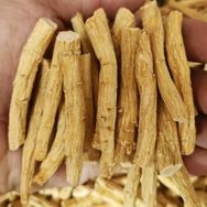 佰益参茸抖音达人头像