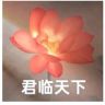 钱一💕🌍大愿抖音达人头像