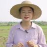 小朱爱三农抖音达人头像