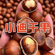 小迪干果榛子抖音达人头像