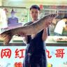 鱼丸哥抖音达人头像