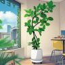 不语绿植抖音达人头像