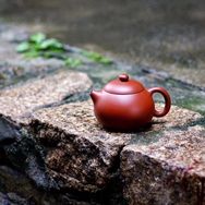 云器紫砂茶器抖音达人头像