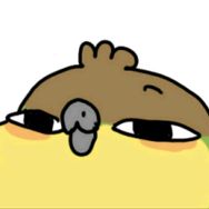 阿罗抖音达人头像