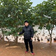 小张家田园绿色农场抖音达人头像