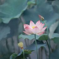 温暖予谢抖音号头像