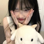 奶酪布丁抖音达人头像