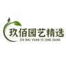 广州玖佰园艺精选抖音达人头像