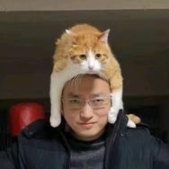金蛋科技抖音达人头像