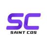 saintcos海外旗舰店抖音达人头像