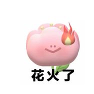 幸福的我们抖音达人头像