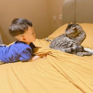旺仔麻麻在家早教抖音达人头像