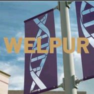 welpur 维乐普甄选抖音达人头像