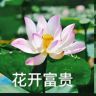 祝你六时吉祥抖音达人头像