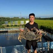 顺子的盘锦河蟹抖音达人头像