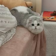 上海交易员孙守抖音达人头像