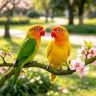 鹦鹉养殖基地🦜宠行天下抖音达人头像