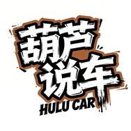 葫芦说车抖音达人头像