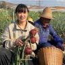 阿慧农产品抖音达人头像