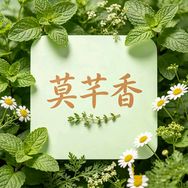 莫芊香草本传承人抖音达人头像