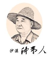 沙漠枣业企业店抖音达人头像