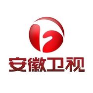 安徽卫视抖音达人头像