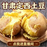 丝路沙漠水果【甘肃定西沙面土豆】抖音达人头像